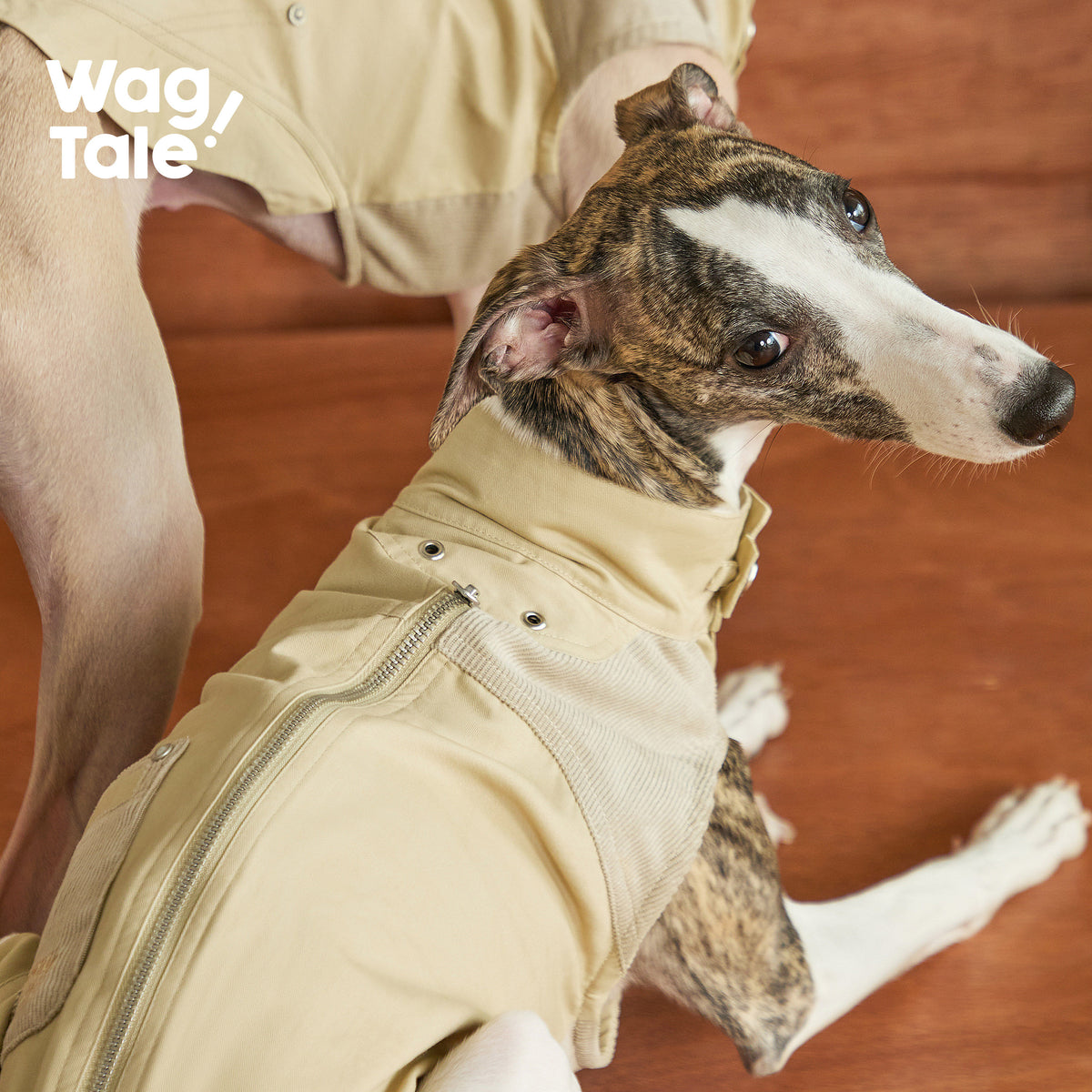 Retro Revival Brush | Brushed Color-Block Dog Jacket Vest