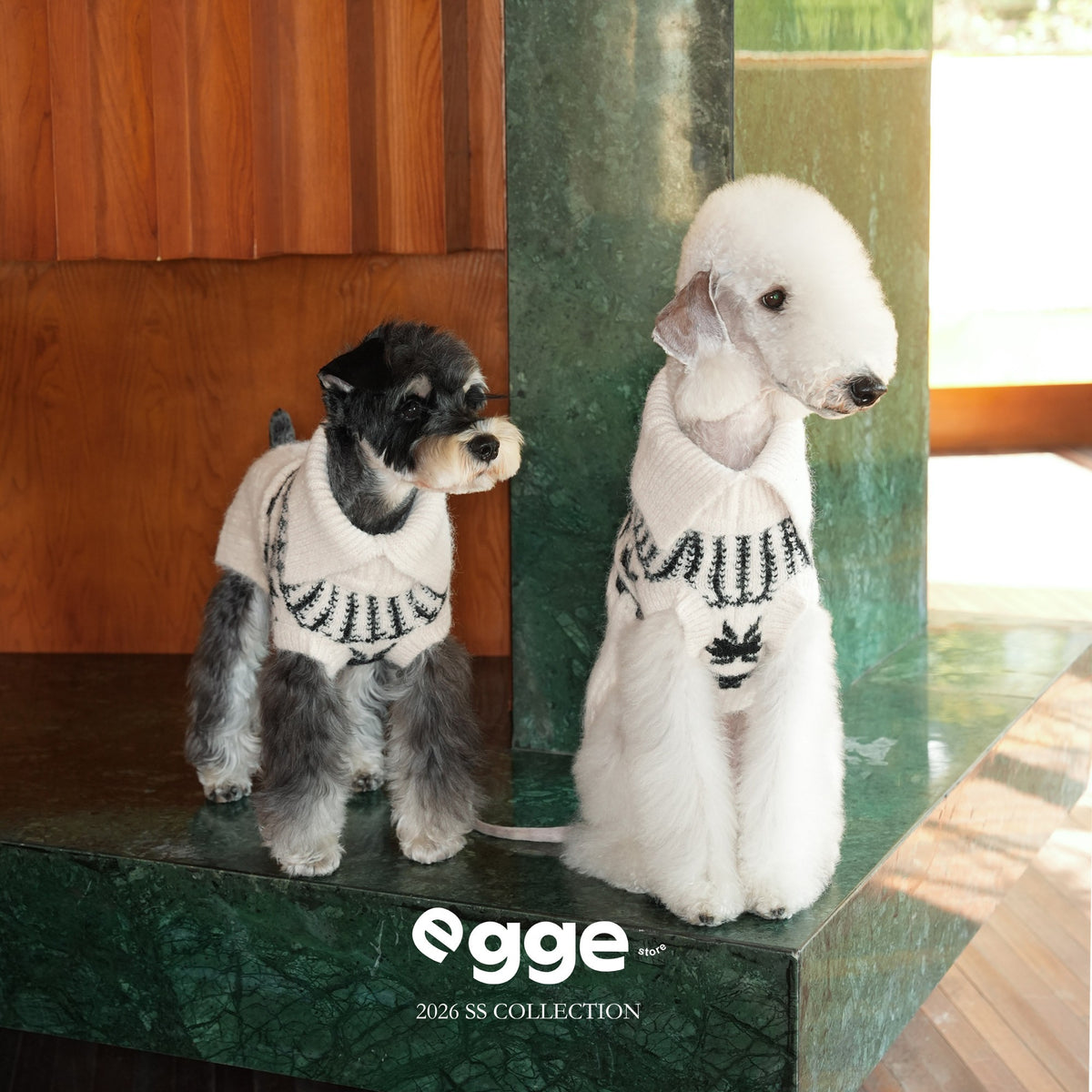 Nordic Snowflake | Collared Dog Sweater