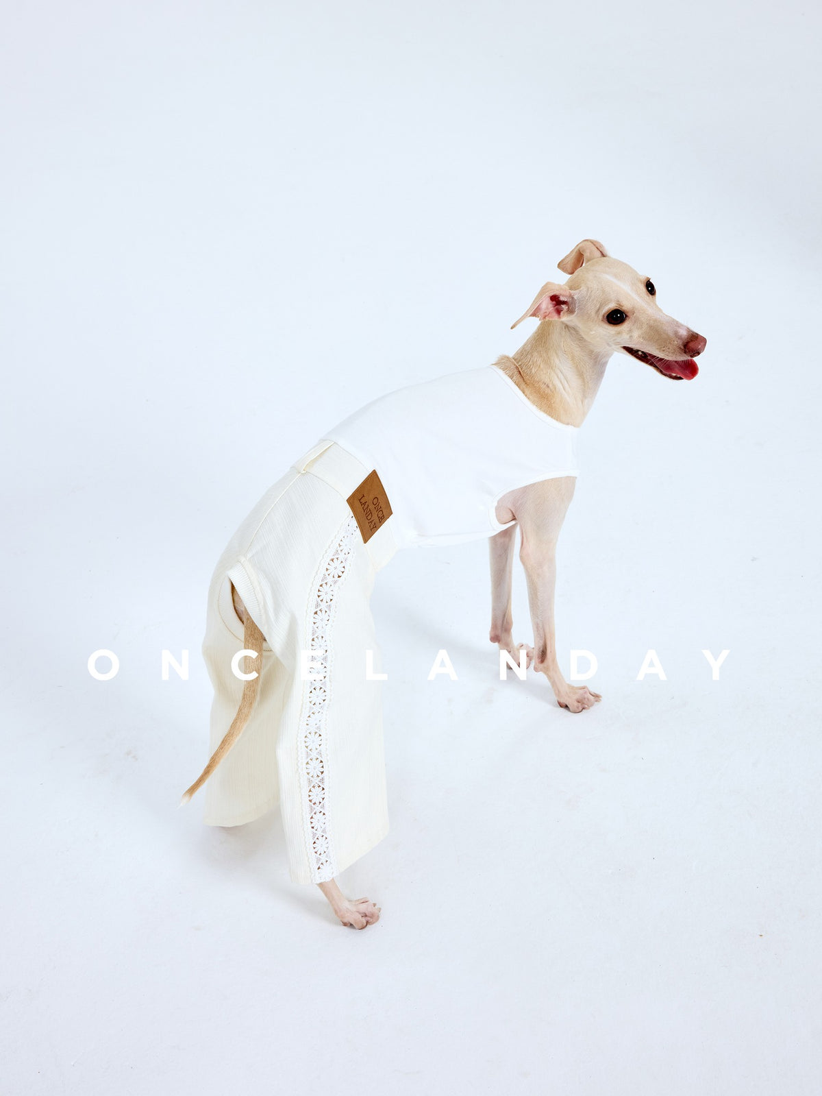 Lacework | Cutout Denim Dog Outfit