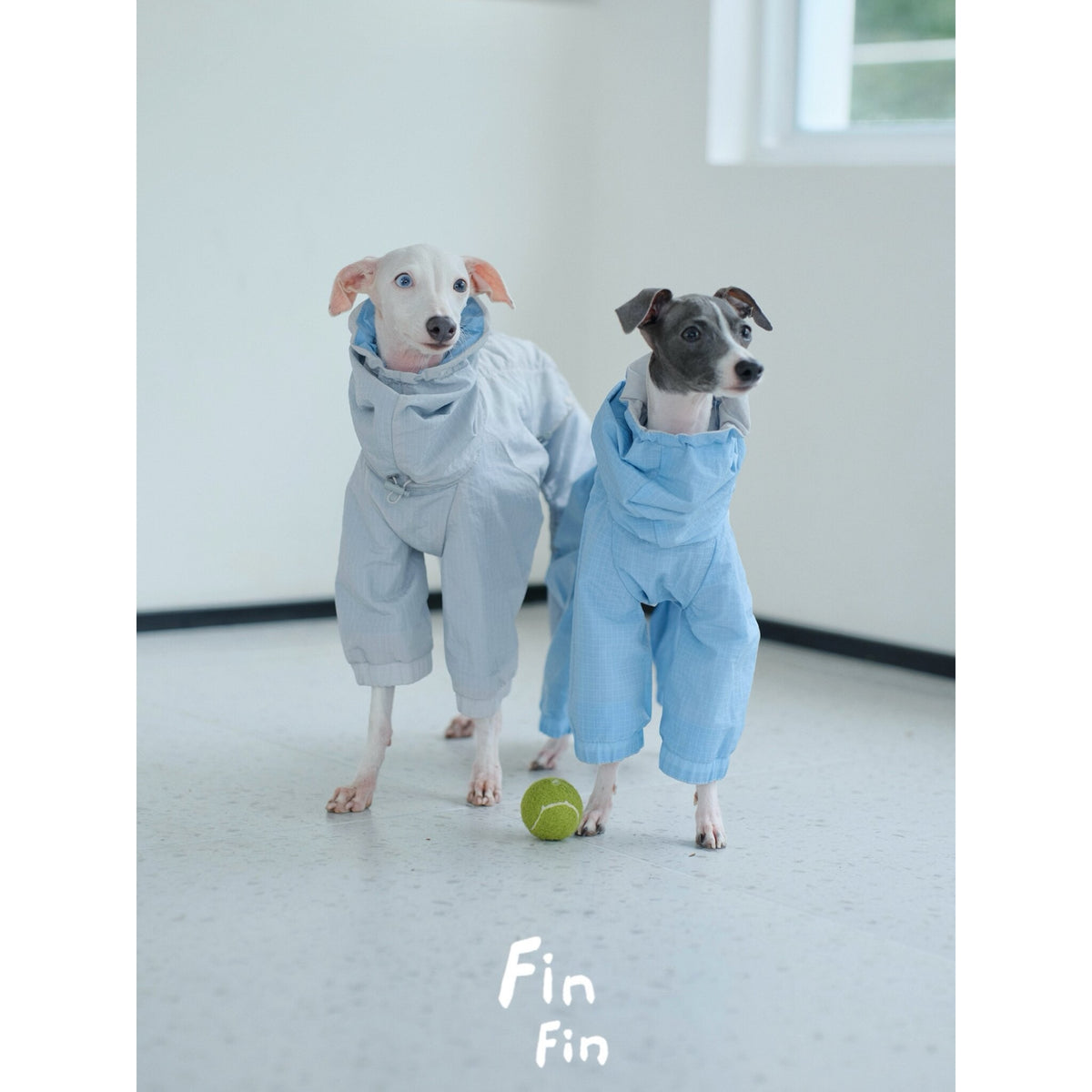 Lakeside Reversible | Reversible Water-Resistant Dog Suit