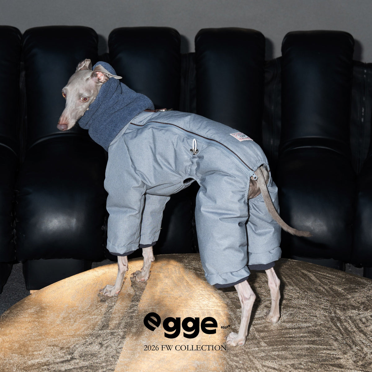 Scarf-Collar Warmth | Warm Dog Down Jacket