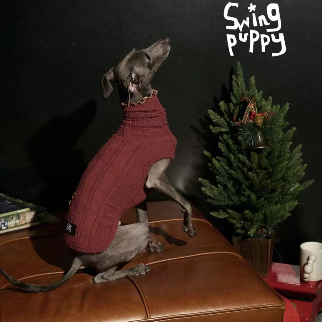 StarryOde | Holiday Fleece Turtleneck Dog Suit