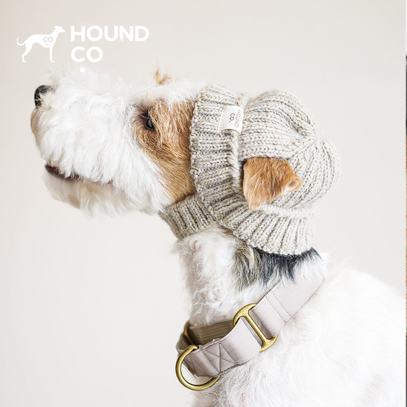 Andean Summit | Hand-Knitted Pet Hat