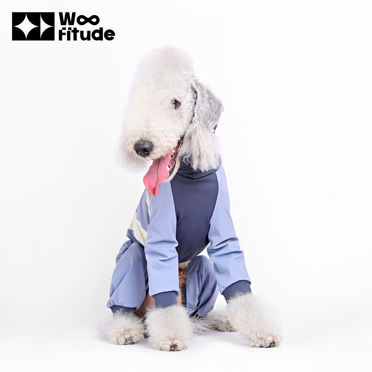 Suntrail Stretch | High-Stretch UV-Protection Dog Suit