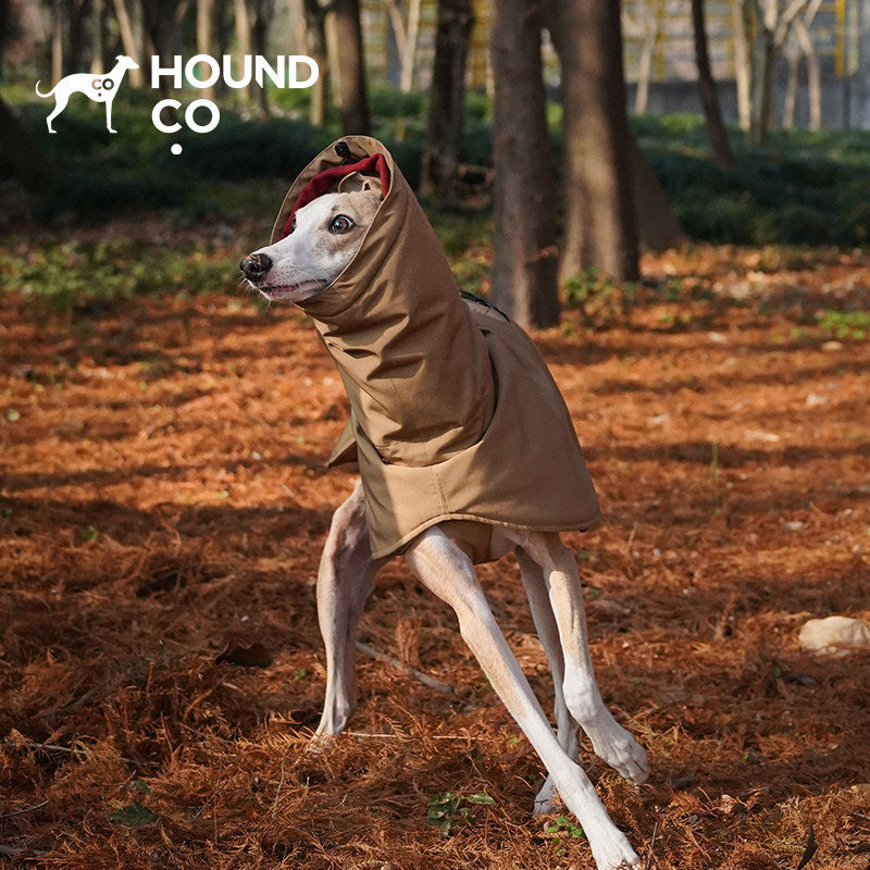 All-Weather Insulated | Waterproof Warm Dog Coat