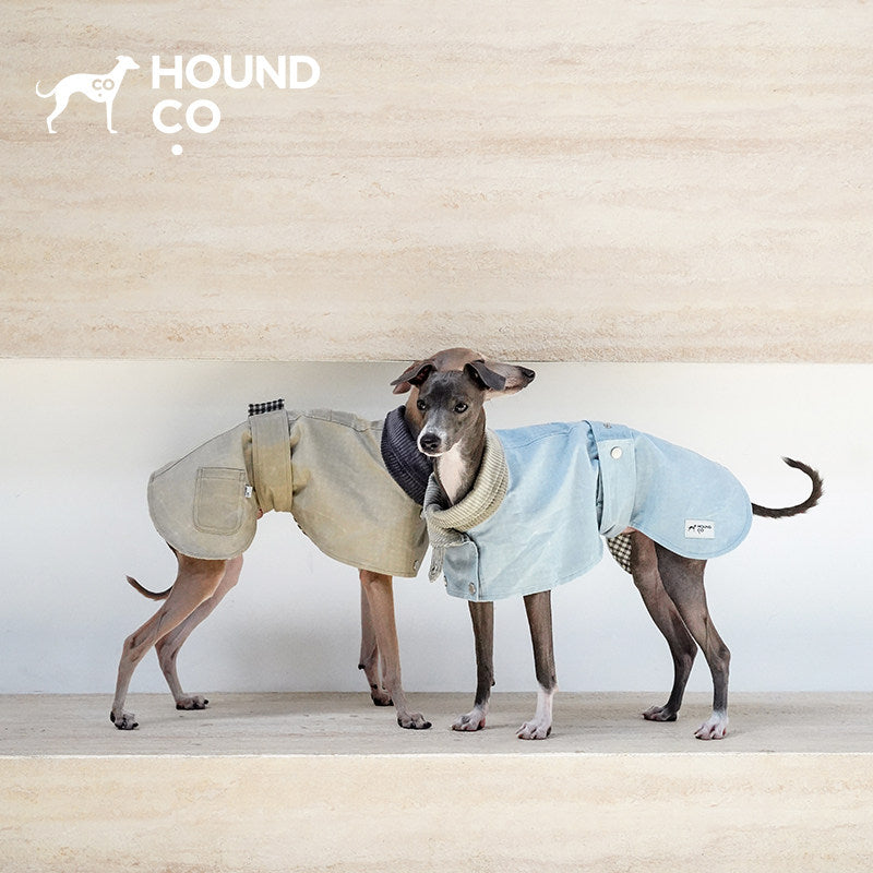 Waxed Country Trench | Water-Resistant Dog Coat