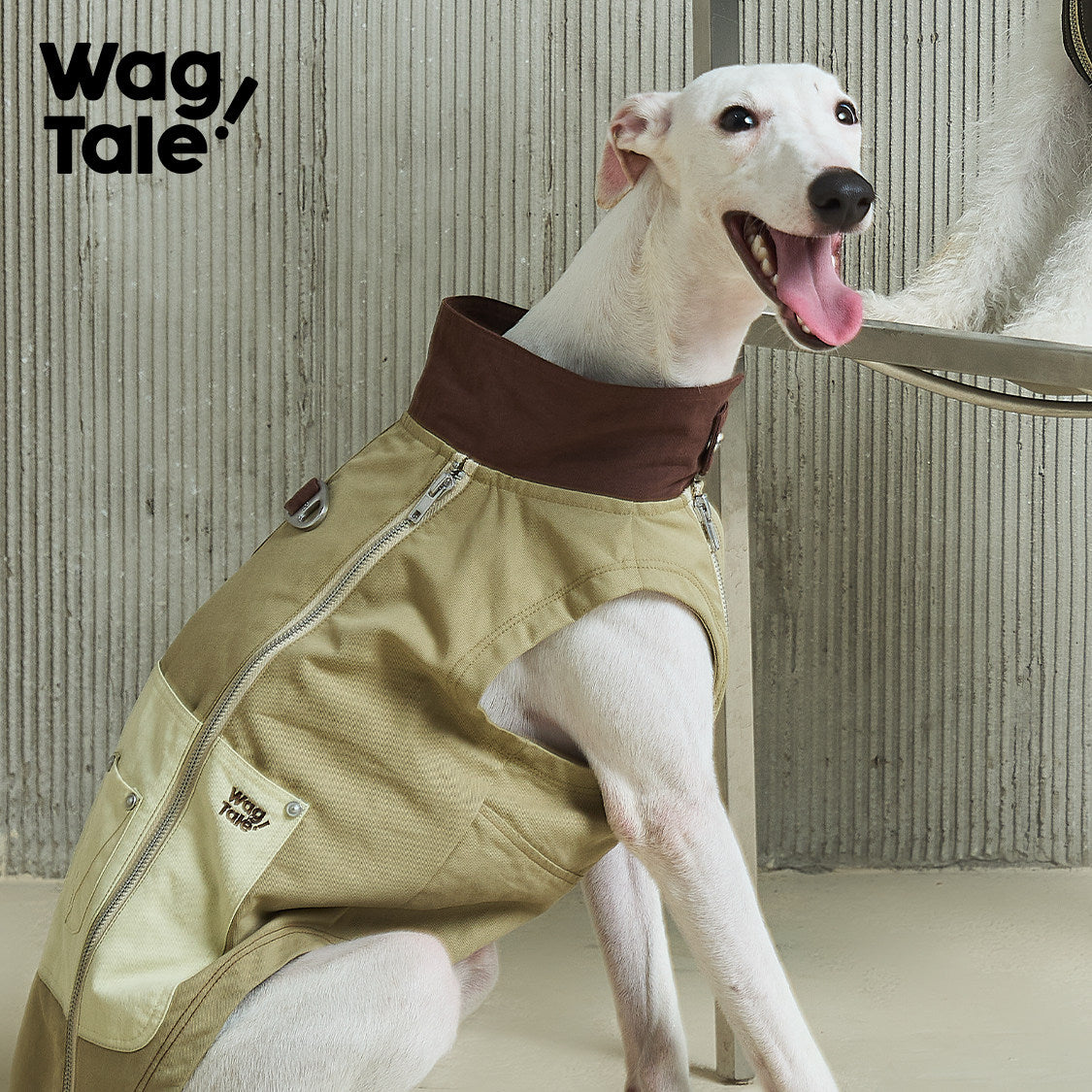 Trailblazer Field Jacket | Stand-Collar Utility Dog Jacket