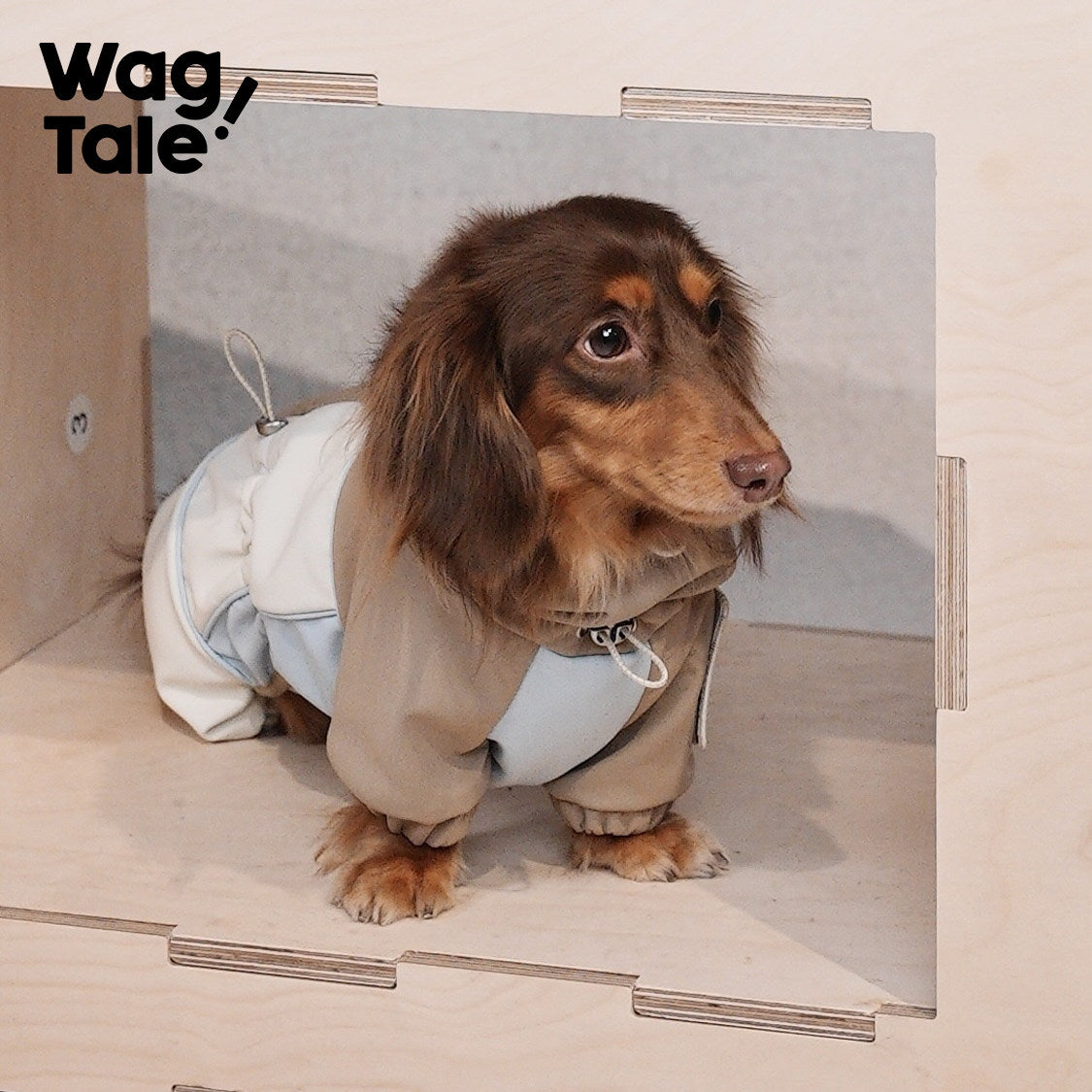 Hardshell Stormguard | Waterproof Fleece-Lined Dog Rain Suit