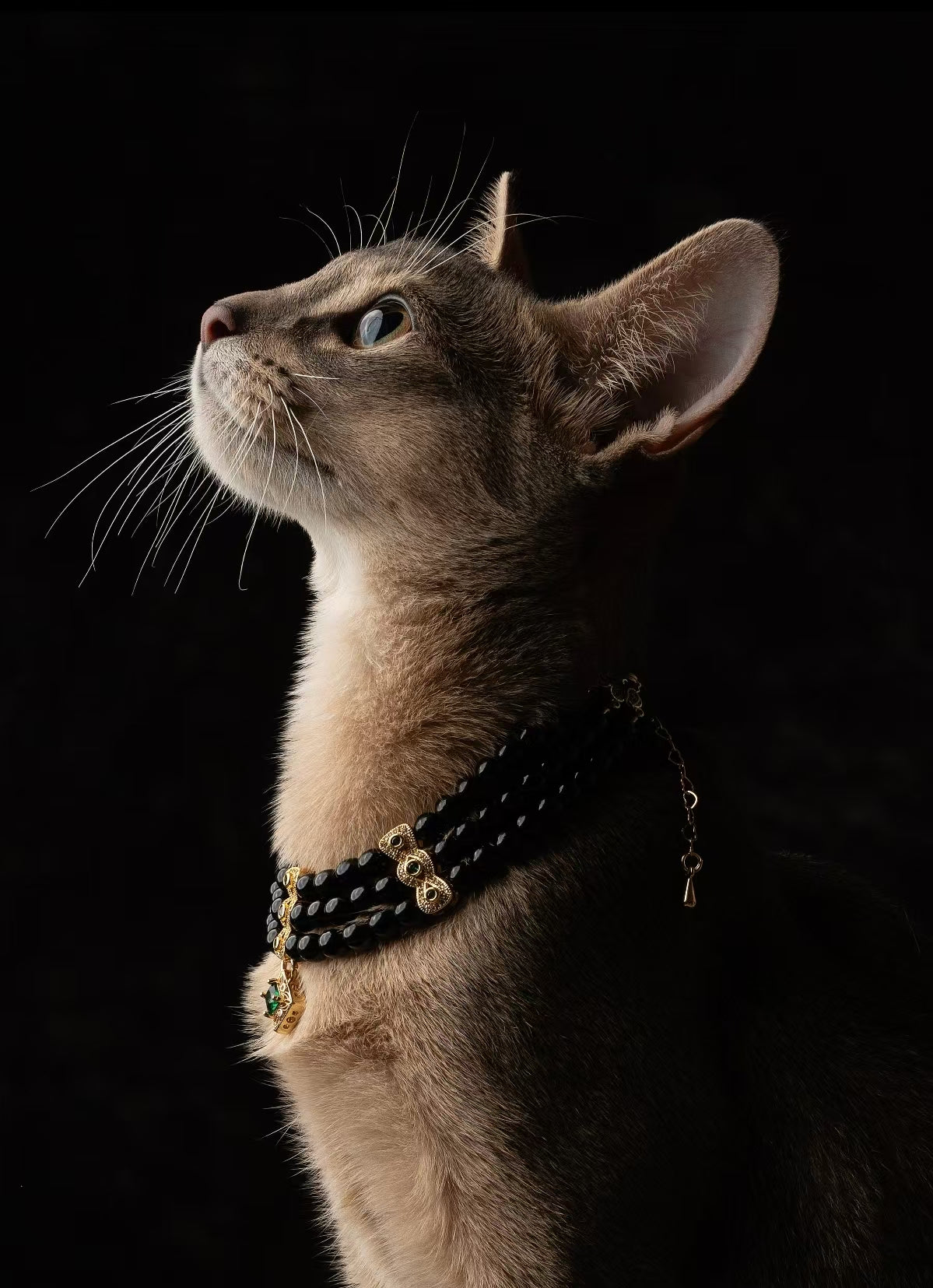 How to Choose a Crystal Necklace for Your Pet: A Guide to Different Gemstones