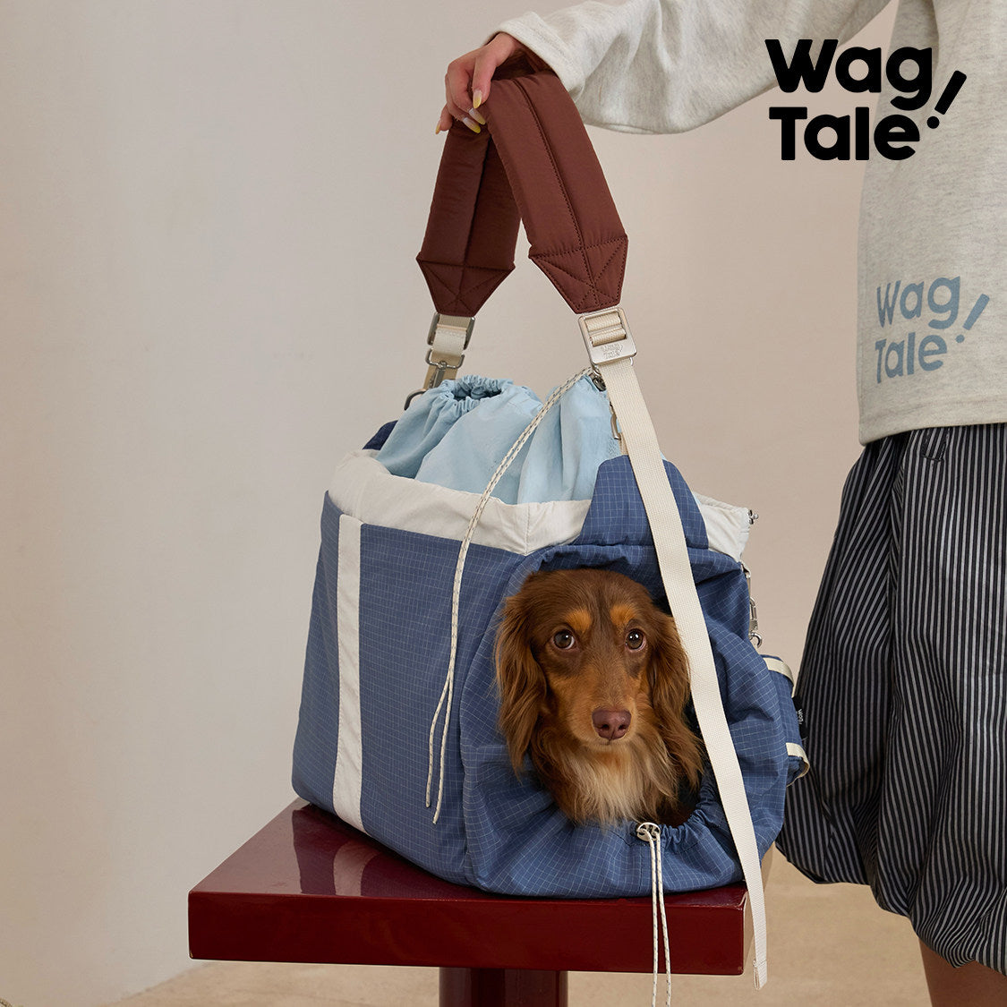 Product photo: Field Companion Carrier — All-Weather Waterproof Pet Carrier Bag.