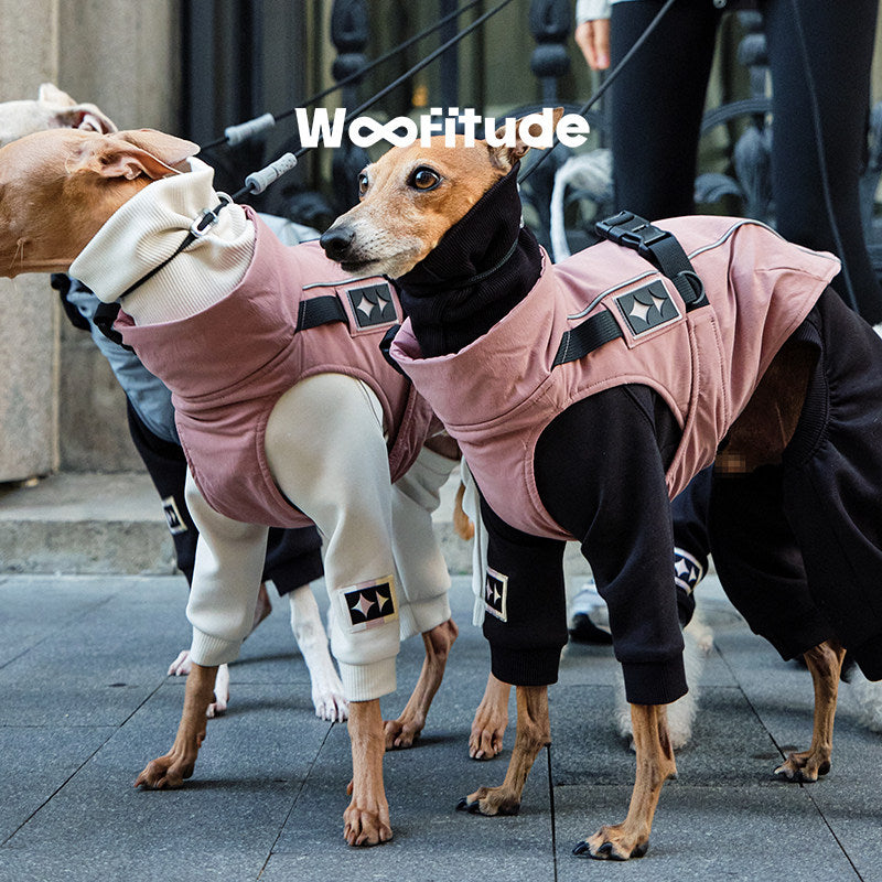 Product photo: Cashmere Core — Cashmere-Wool Technical Dog Vest.