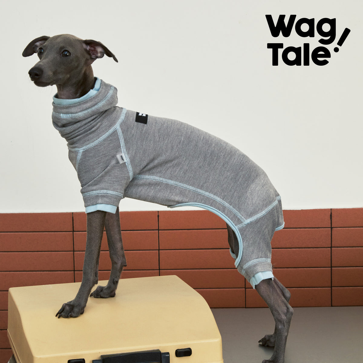 Product photo: Cloud Static Ease — Anti-Static Thermal Base-Layer Dog Suit.