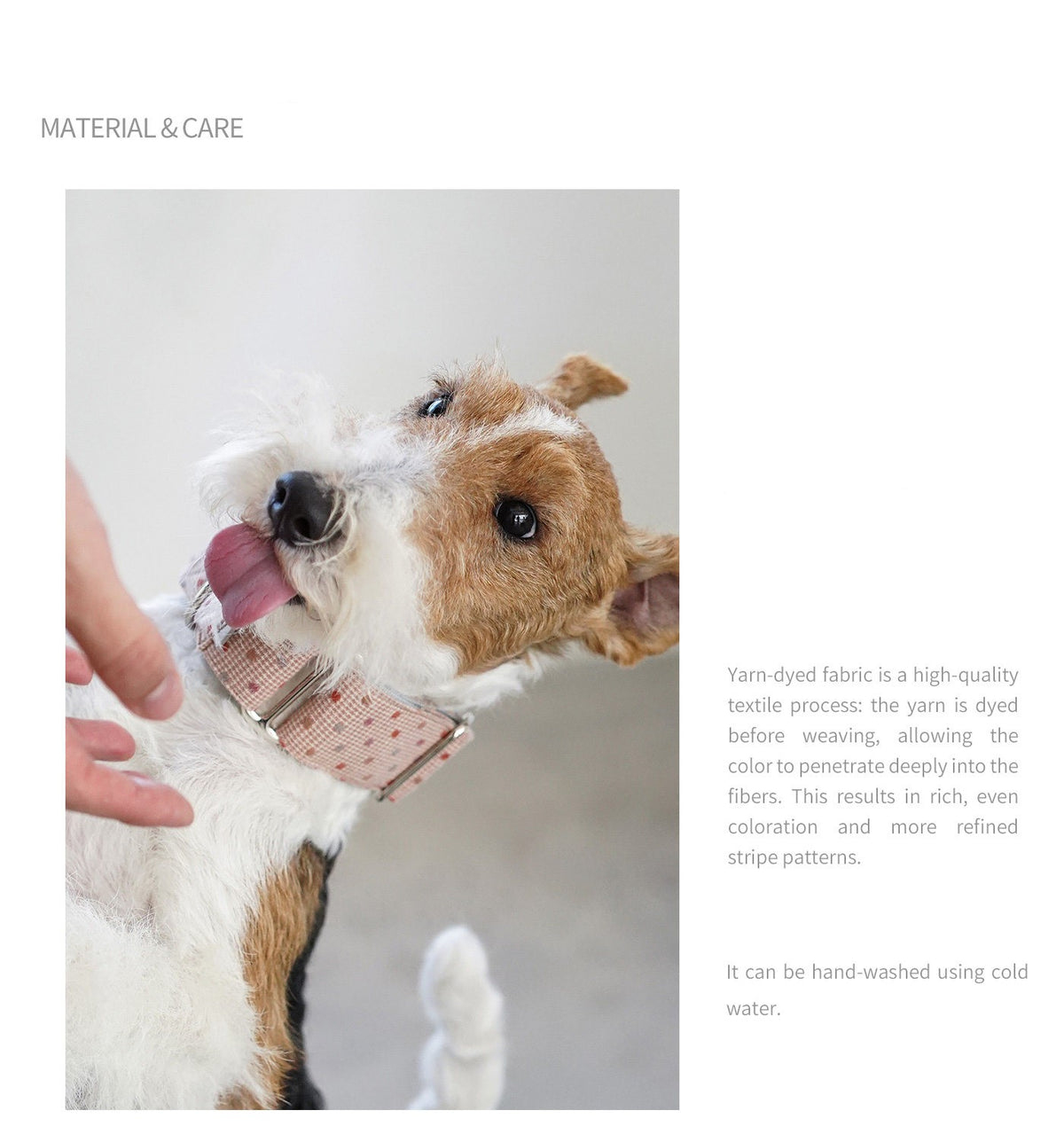 Product photo: Polka Dot — Martingale Dog Collar.
