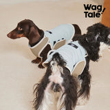 Product photo: All-Season Shield Switchback — Reversible Insulated Dog Vest.