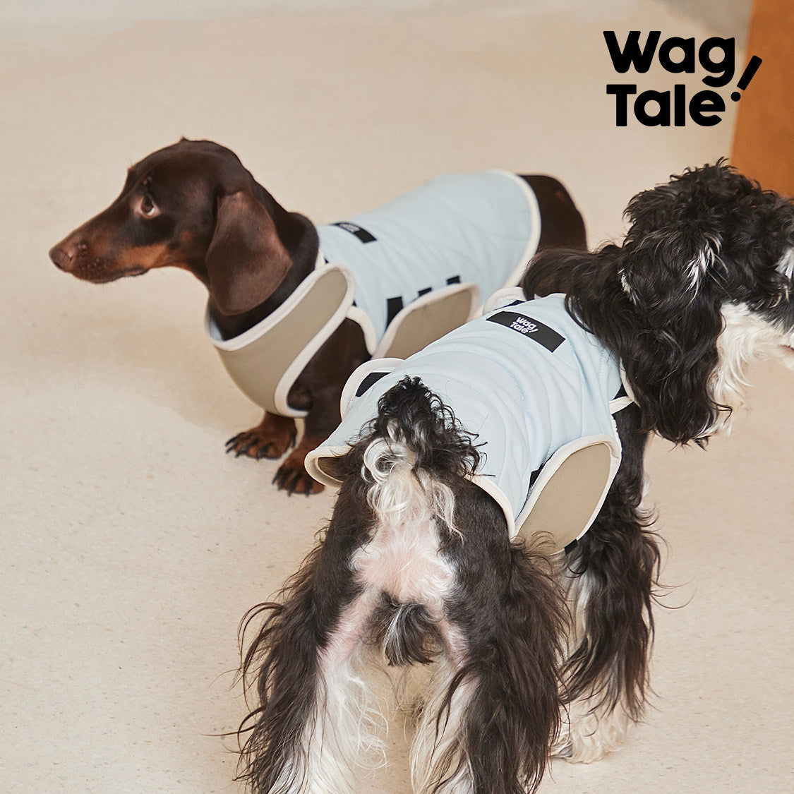 Product photo: All-Season Shield Switchback — Reversible Insulated Dog Vest.