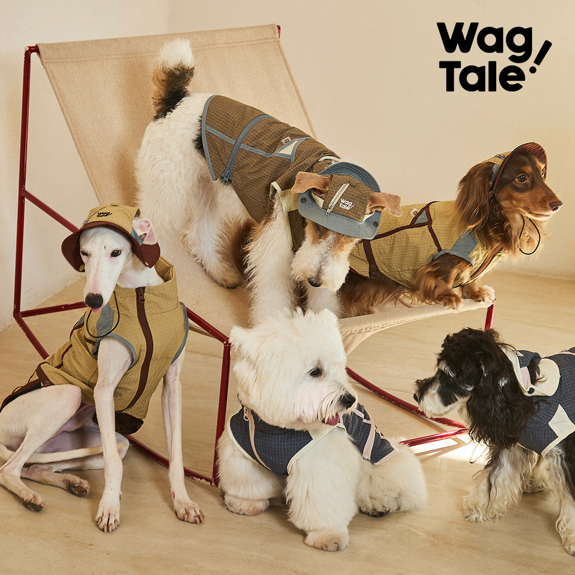 Product photo: City Jungle Rain Vest — Waterproof Utility Dog Vest.