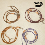 Product photo: Retro Revival Rainbow — Multicolor Dog Leash.