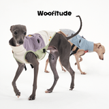 Product photo: Trail Utility Grid — Textured Dog Vest.