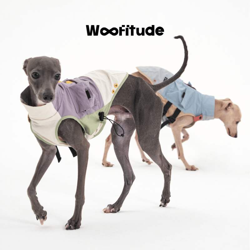 Product photo: Trail Utility Grid — Textured Dog Vest.