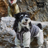 Product photo: City Jungle Downpour — Waterproof Dog Rain Suit.