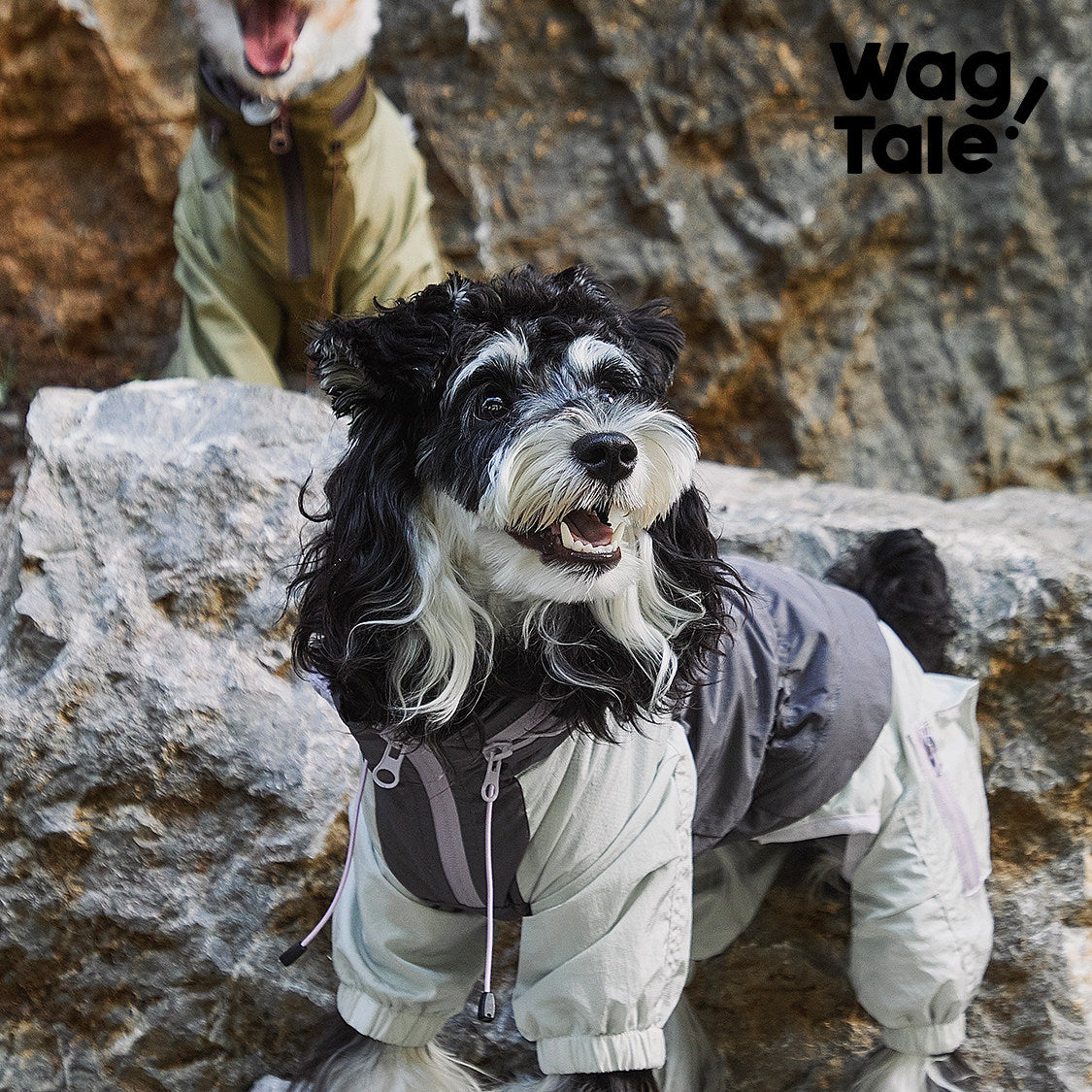 Product photo: City Jungle Downpour — Waterproof Dog Rain Suit.