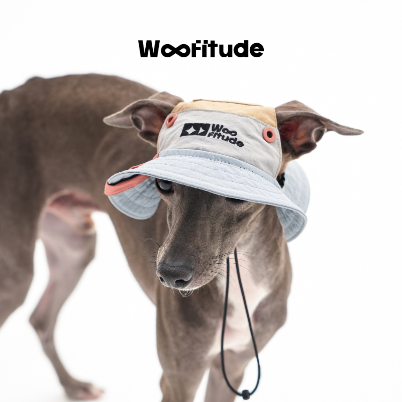 Product photo: Seersucker Bloom — Embroidered Dog Bucket Hat.