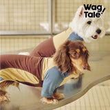 Product photo: Cloud Stretch Breeze — Cooling Stretch Dog Suit.