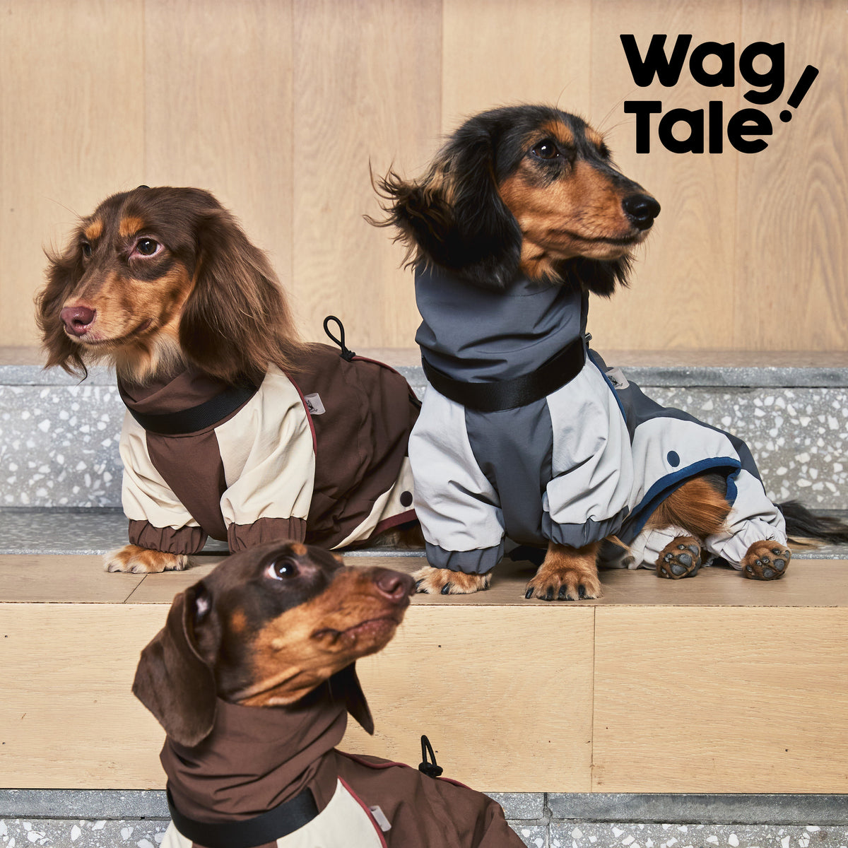 Product photo: All-Terrain Storm — Waterproof Utility Dog Rain Suit.