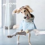 Product photo: Waxed Country Trench — Water-Resistant Dog Coat.