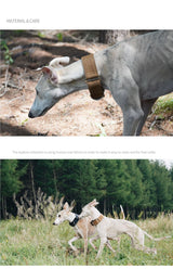 Product photo: Pinewood — Brown Martingale Dog Collar.