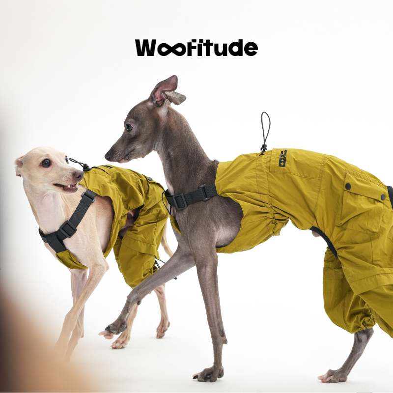 Product photo: Pleated Utility Studio — Adjustable Dog Overalls.