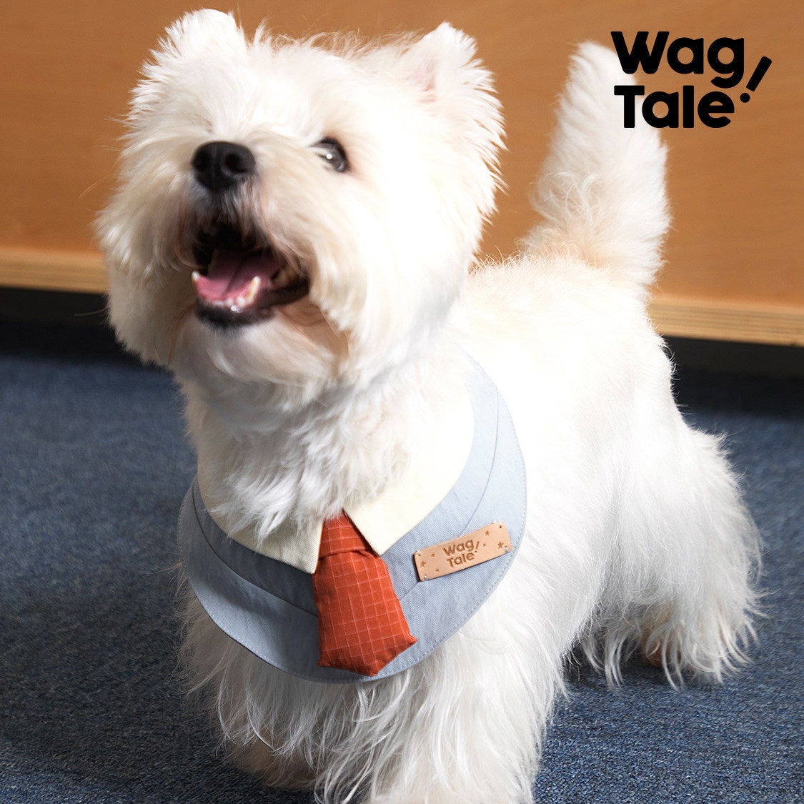 Product photo: Retro Revival — Office-Style Dog Bandana.