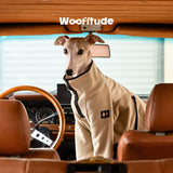 Product photo: Fleece-Panel Duo — Color-Block Two-Leg Dog Sweatshirt.