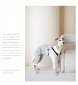 Product photo: Fieldworker Explorer — Outdoor Bib Overalls for Dogs.