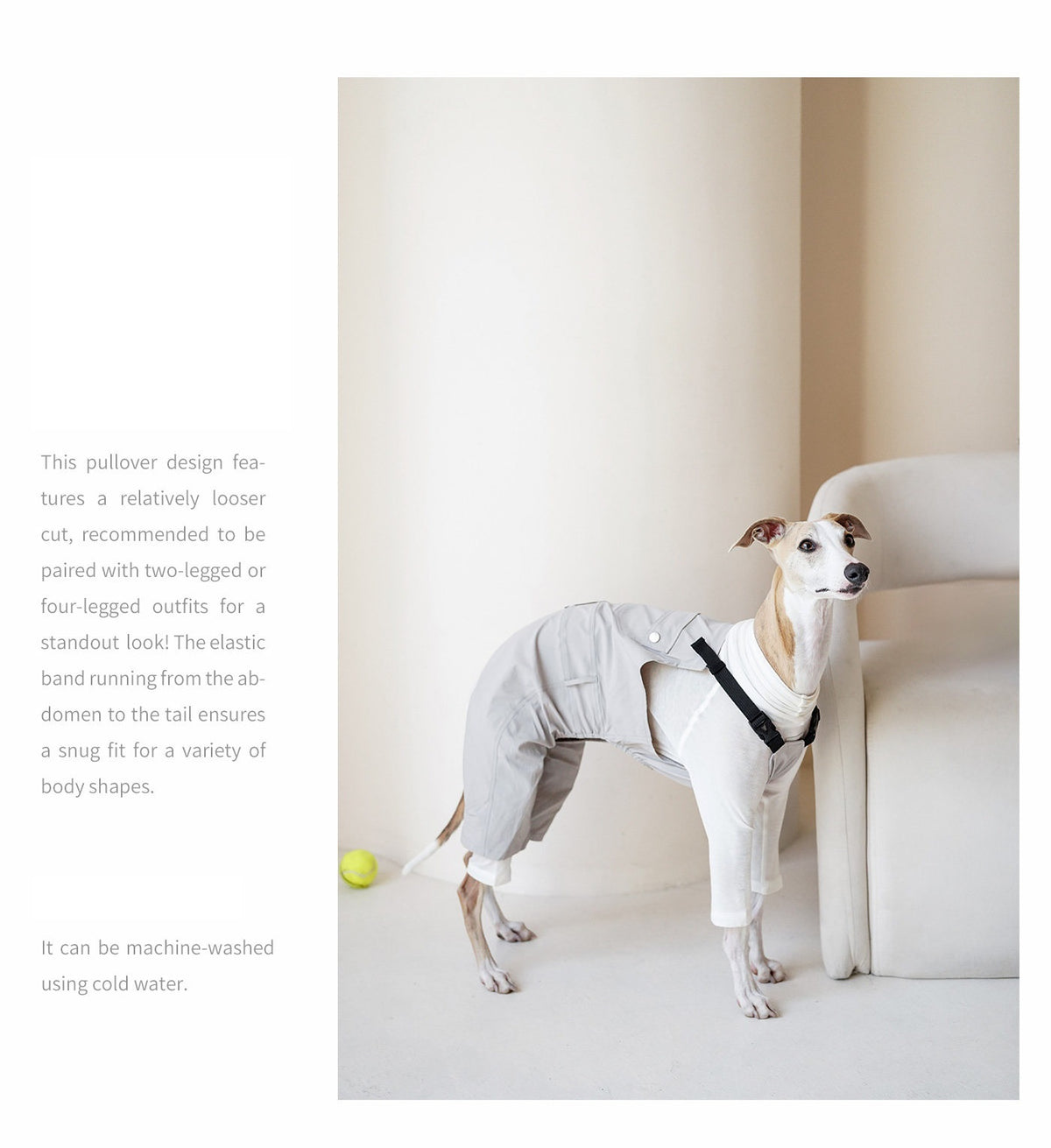Product photo: Fieldworker Explorer — Outdoor Bib Overalls for Dogs.