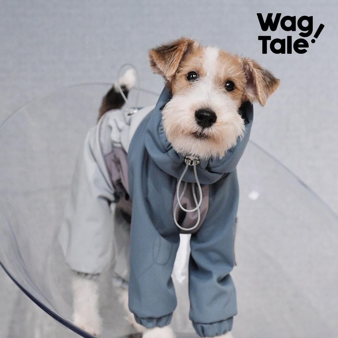 Product photo: Hardshell Stormguard — Waterproof Fleece-Lined Dog Rain Suit.