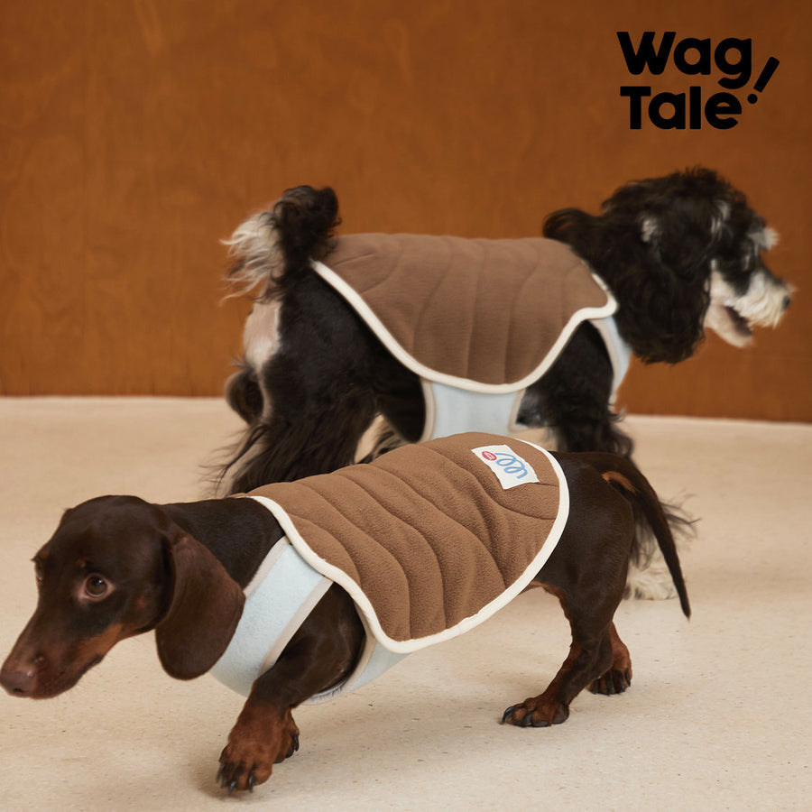 Product photo: All-Season Shield Switchback — Reversible Insulated Dog Vest.