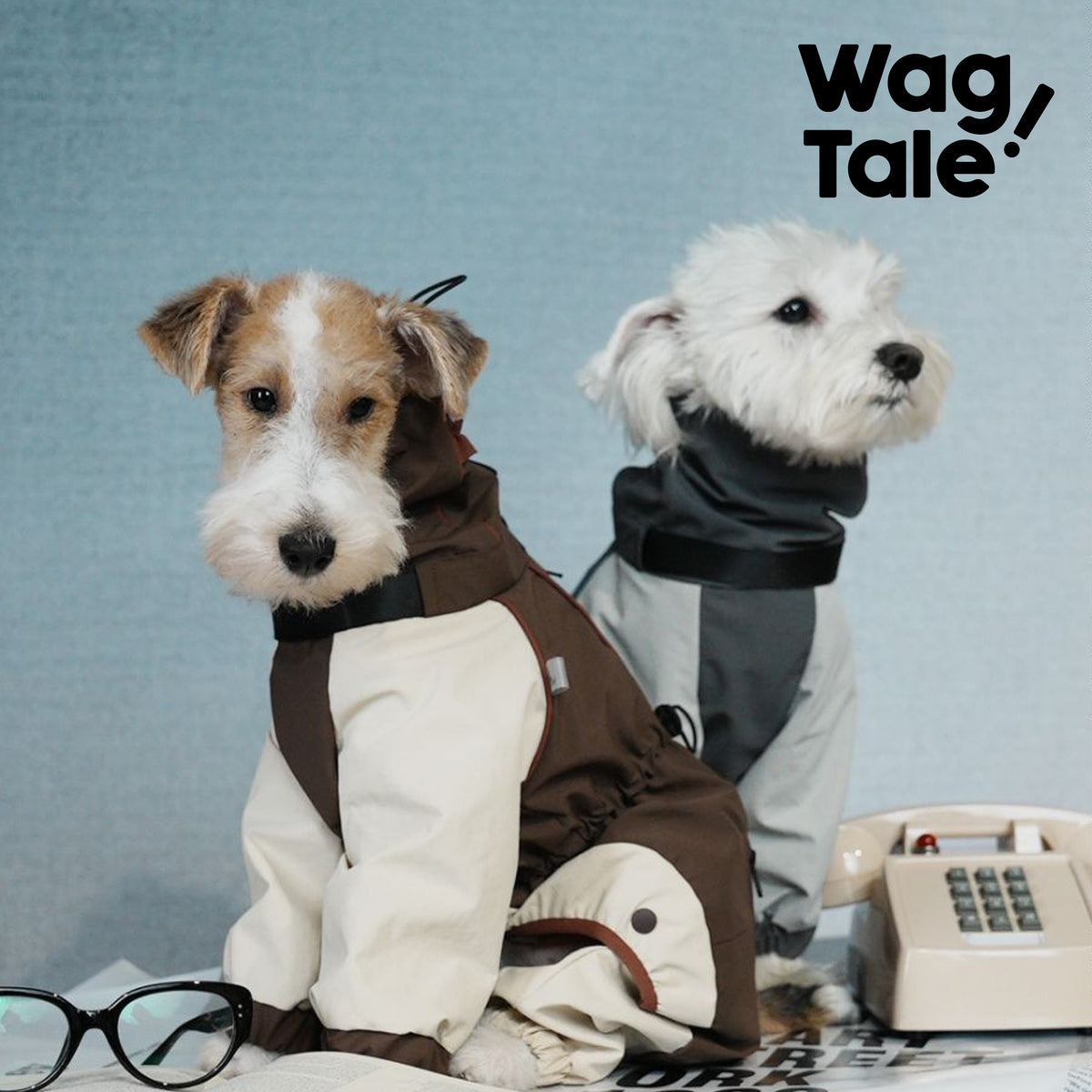 Product photo: All-Terrain Storm — Waterproof Utility Dog Rain Suit.