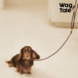 Product photo: Retro Revival Rainbow — Multicolor Dog Leash.