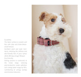 Product photo: Woven Stripe — Yarn-Dyed Martingale Dog Collar.