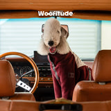 Product photo: Fleece-Panel Duo — Color-Block Two-Leg Dog Sweatshirt.