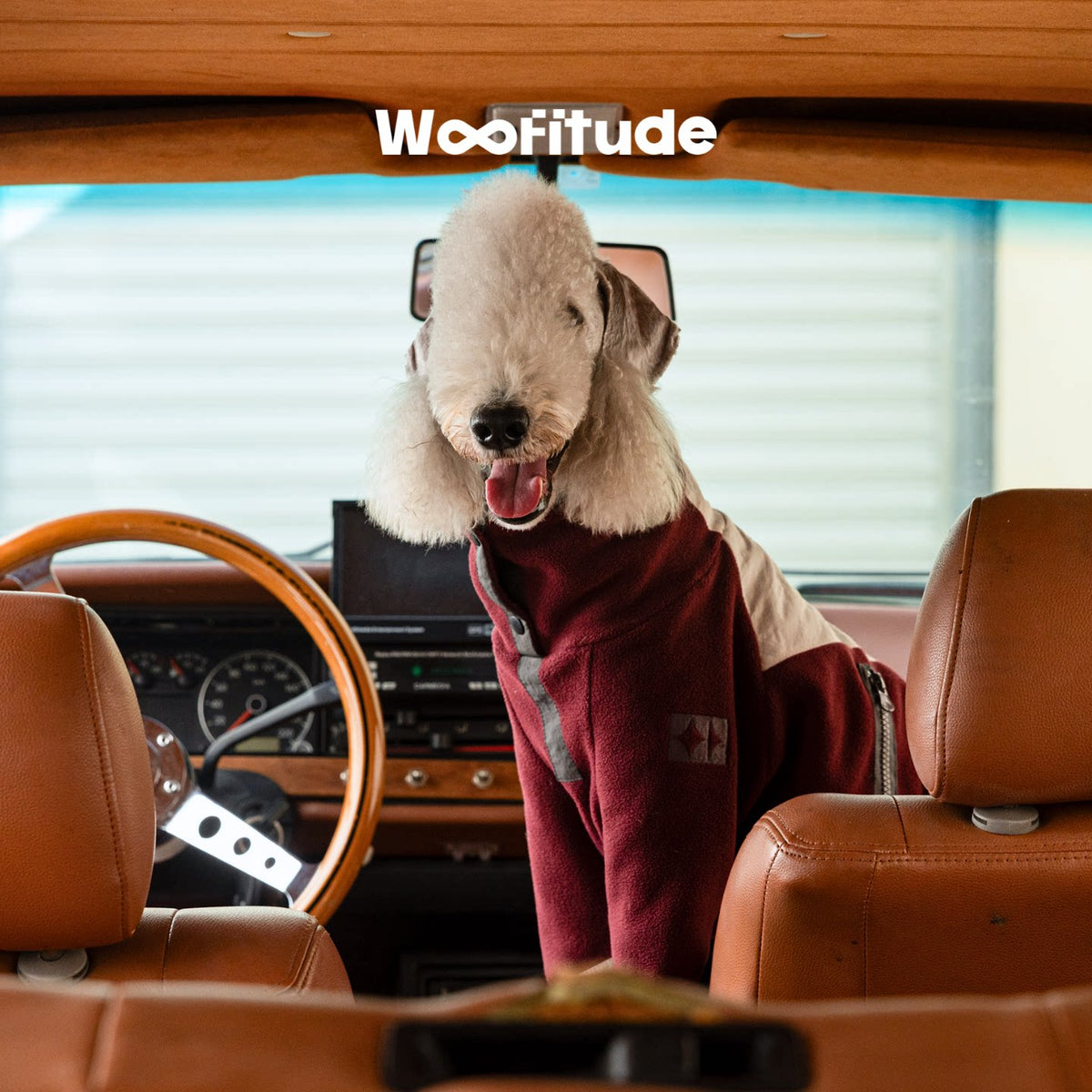 Product photo: Fleece-Panel Duo — Color-Block Two-Leg Dog Sweatshirt.