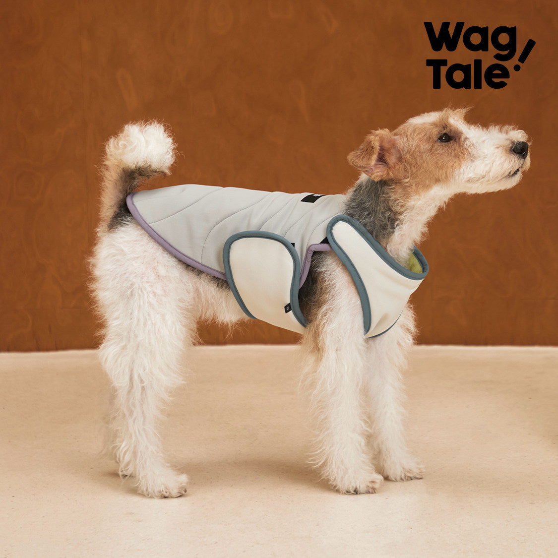 Product photo: All-Season Shield Switchback — Reversible Insulated Dog Vest.