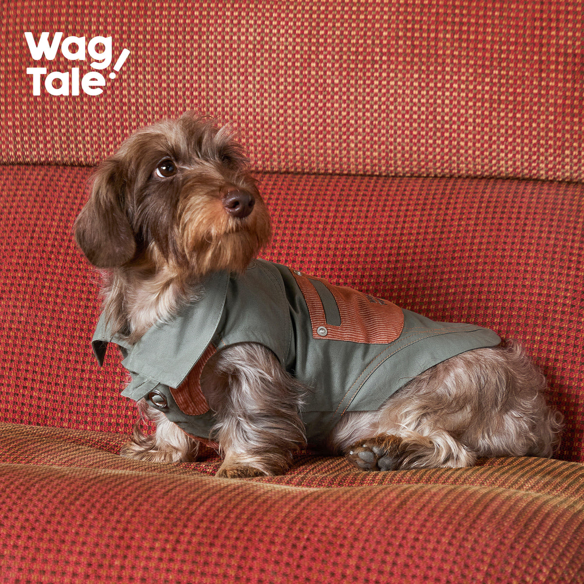 Product photo: Retro Revival Brush — Brushed Color-Block Dog Jacket Vest.