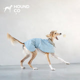 Product photo: Waxed Country Trench — Water-Resistant Dog Coat.