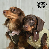 Product photo: Trailblazer Field Jacket — Stand-Collar Utility Dog Jacket.