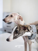 Product photo: Polka Dot — Martingale Dog Collar.