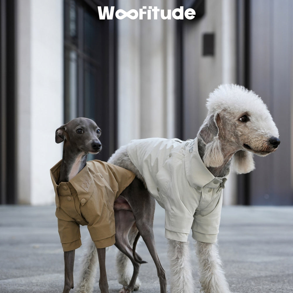 Product photo: Gridline Check — Textured Grid Dog Shirt.