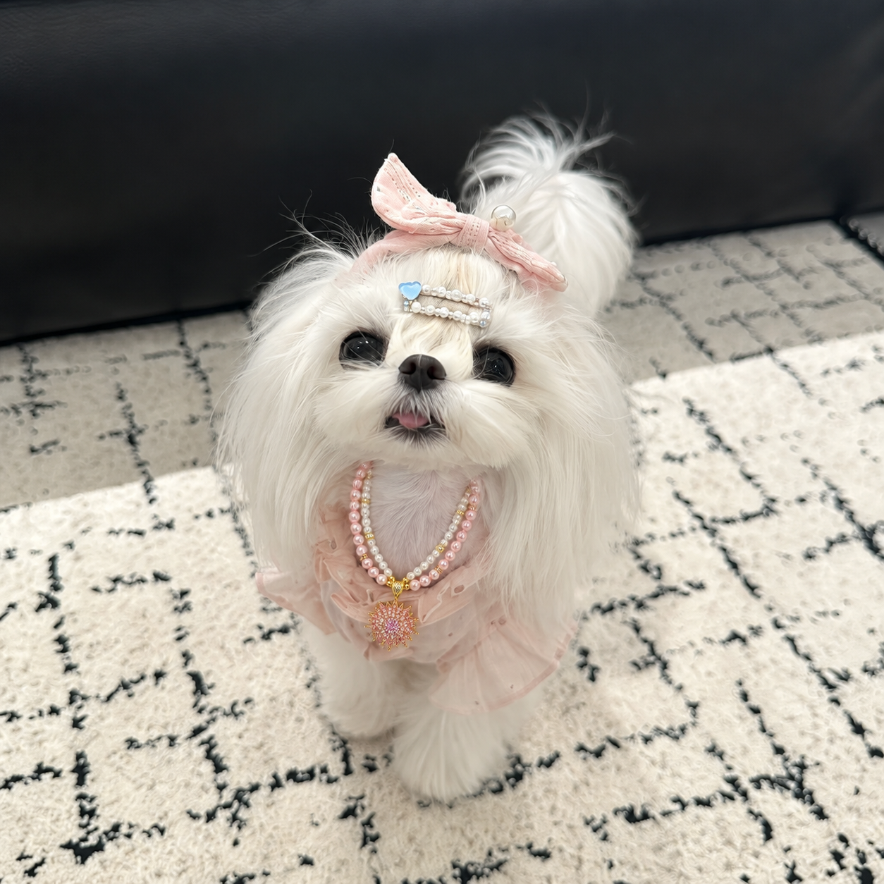 Light Pink Sunflower Pet Necklace