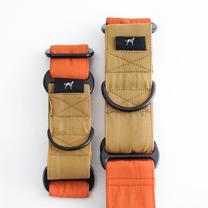 Product photo: Easy-Wear — Two-Tone Martingale Dog Collar.